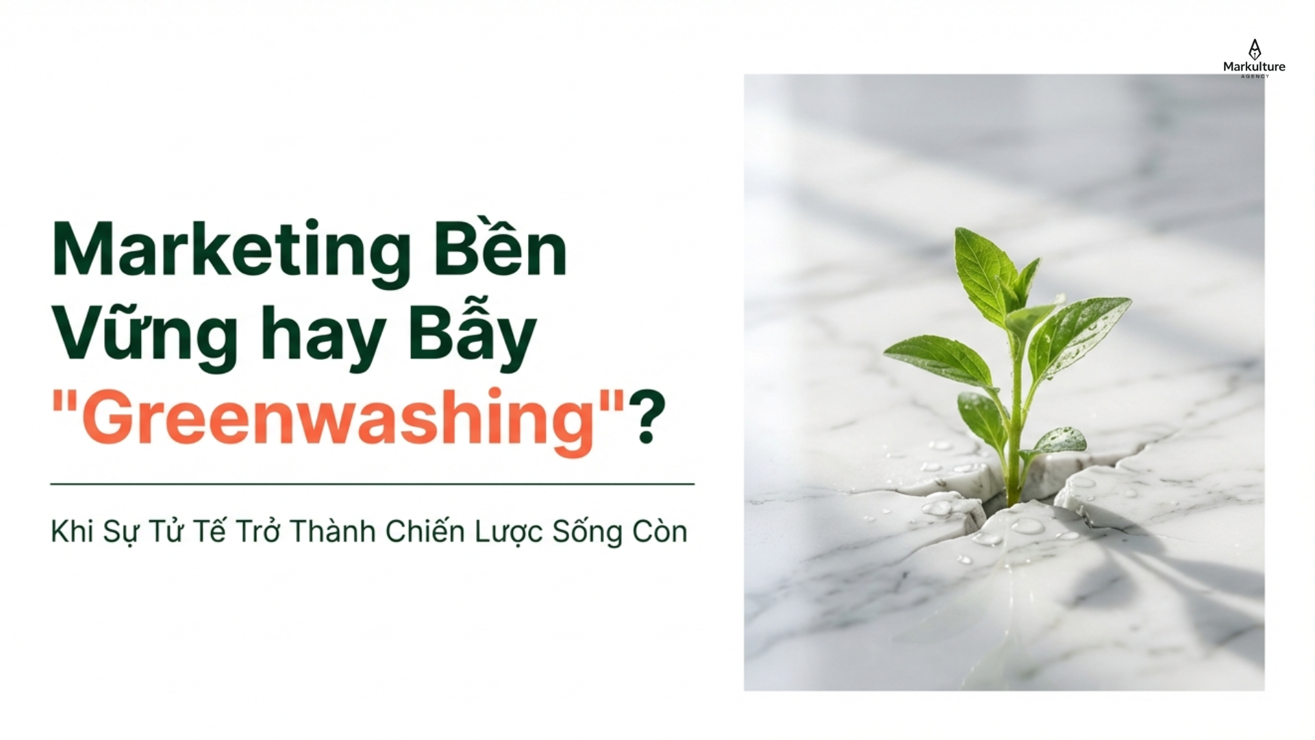 Marketing bền vững & bẫy Greenwashing: Lựa chọn sự tử tế